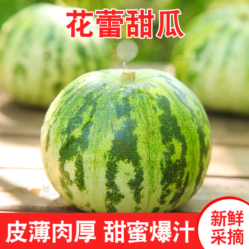 桌子上放着花蕾香瓜