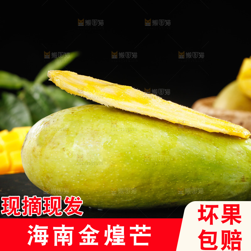 金煌芒果和芒果核