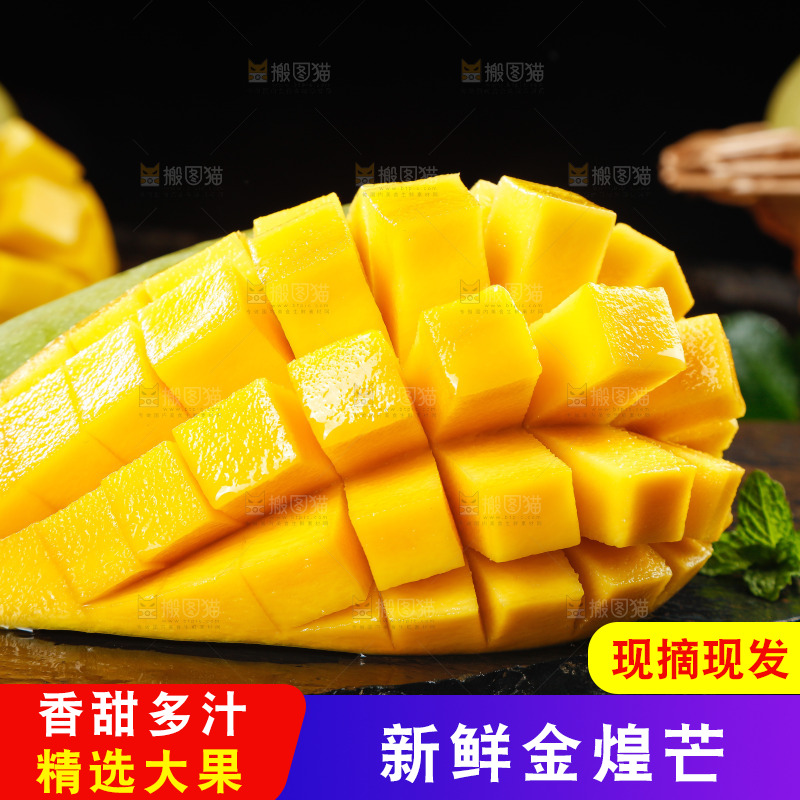 黑底上放着海南金煌芒