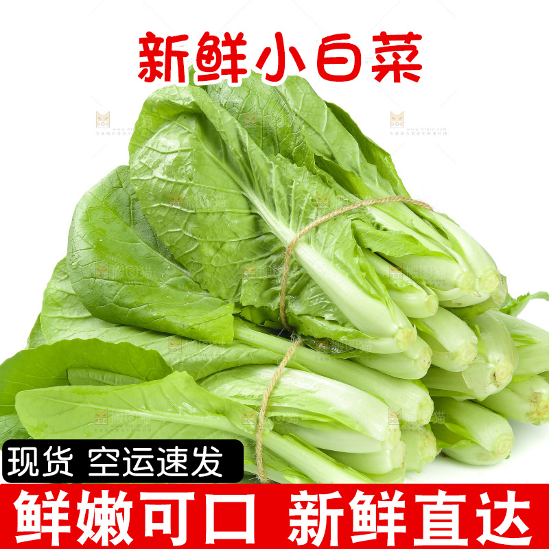 白底上放着一堆小白菜