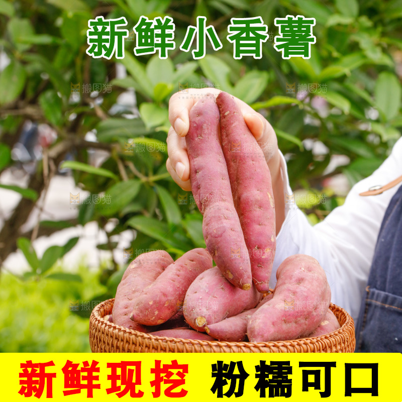 手里端着一篮小香薯