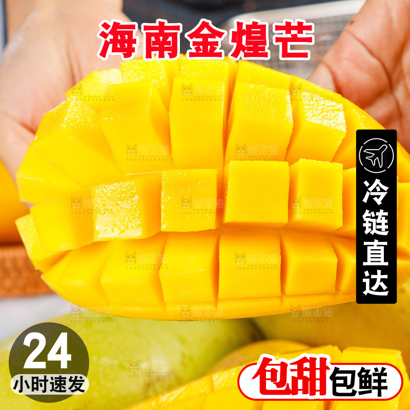 手里拿着金煌芒果