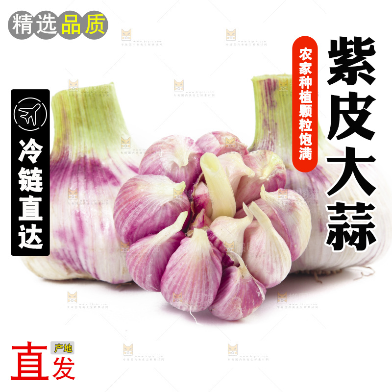 白底上的大蒜