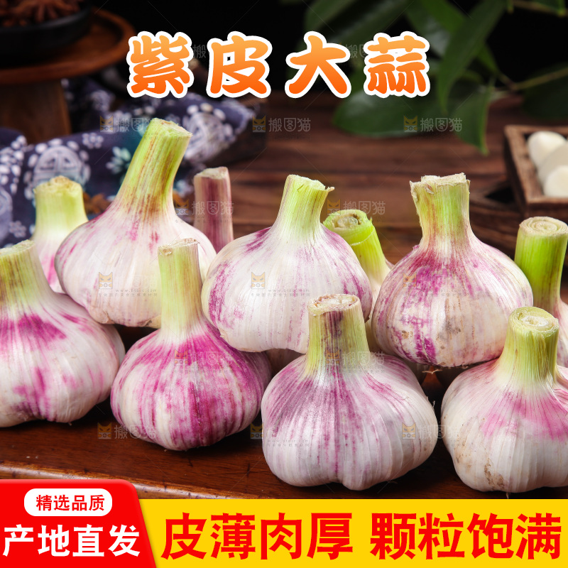 一堆新鲜紫皮大蒜