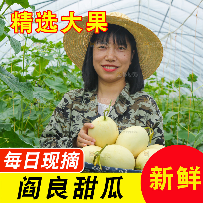 手里端着一篮阎良小甜瓜