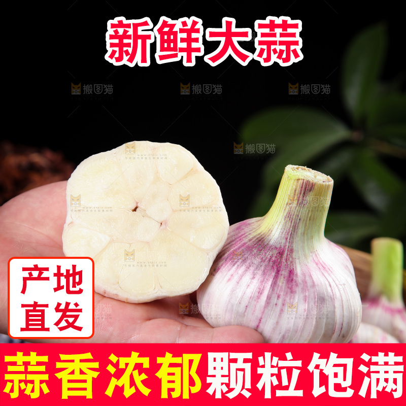手里拿着大蒜