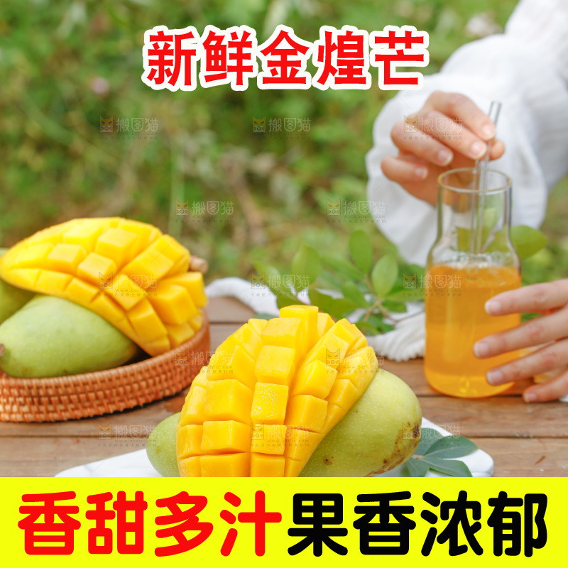 桌子上放着金煌芒