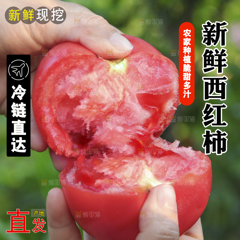 手里掰着沙瓤西红柿