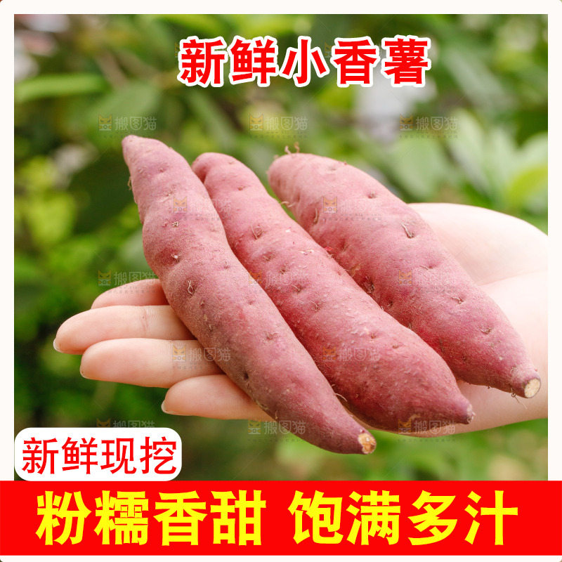 手里拿着小香薯