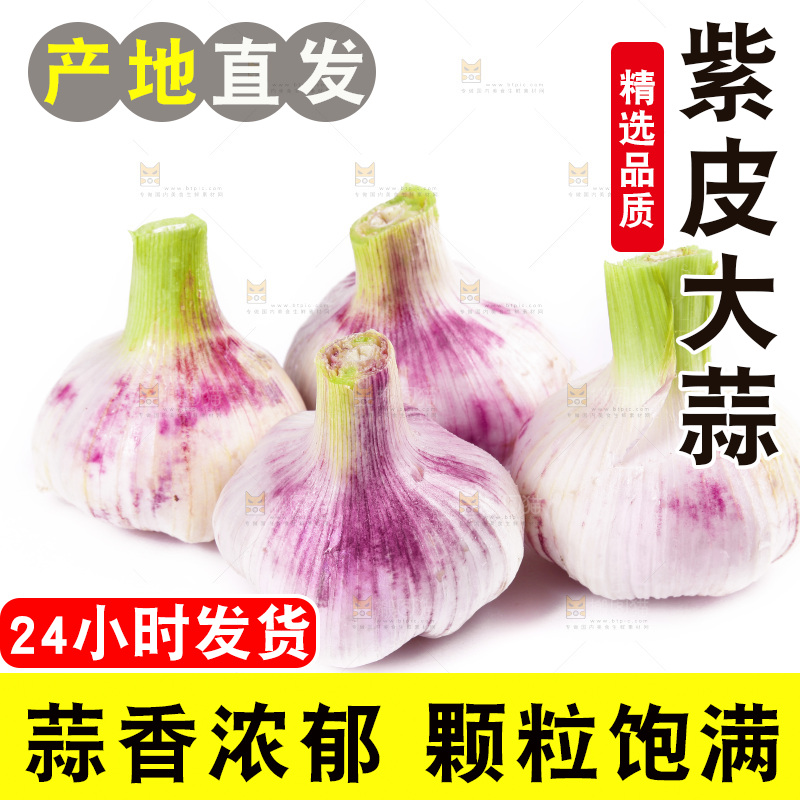 白底上的紫皮大蒜