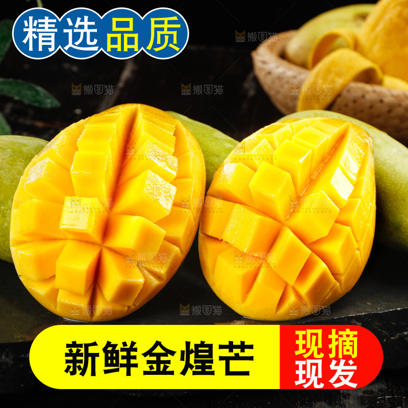 黑底上的金煌芒