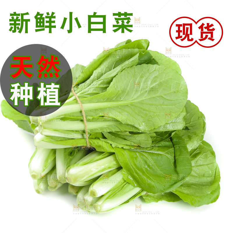 白底上放着一堆小白菜