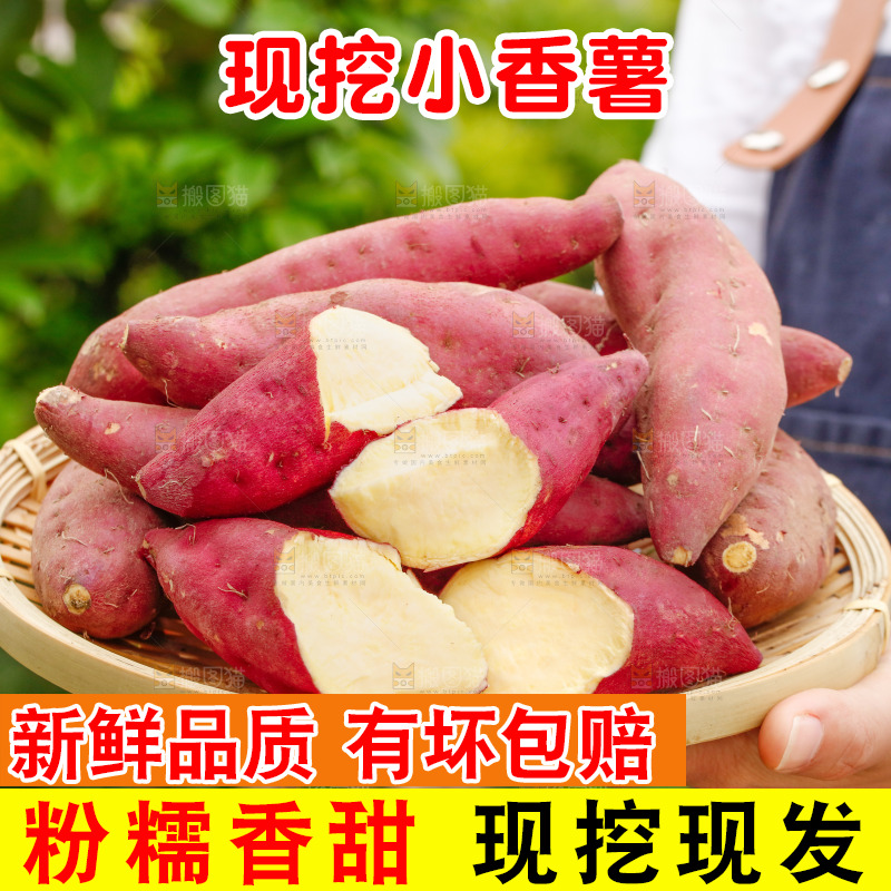 手里端着一篮临安小香薯