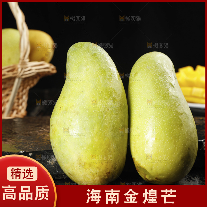 黑底上放着海南金煌芒