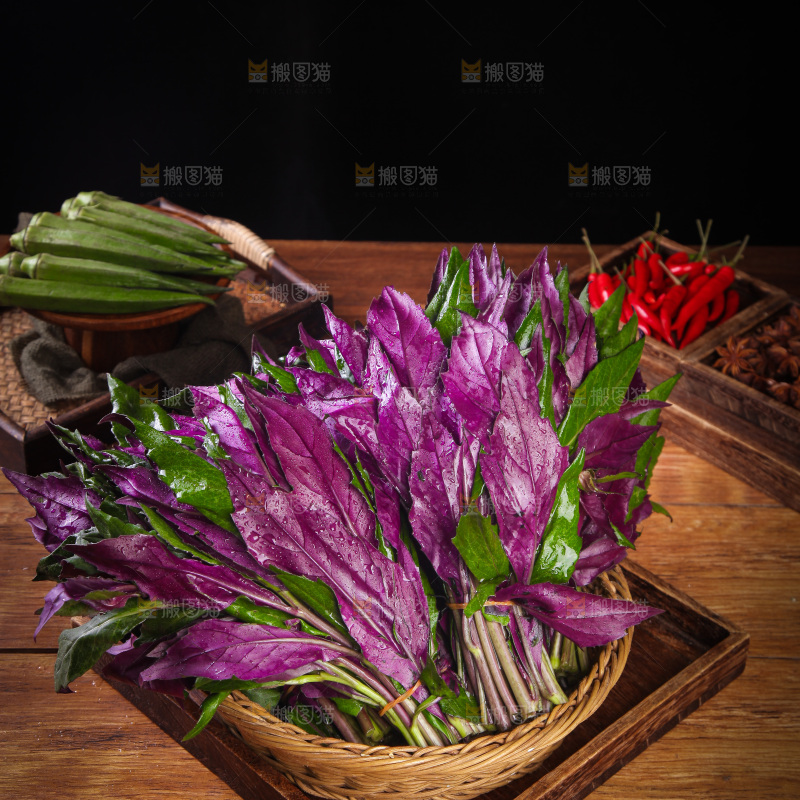 一篮新鲜紫背天葵