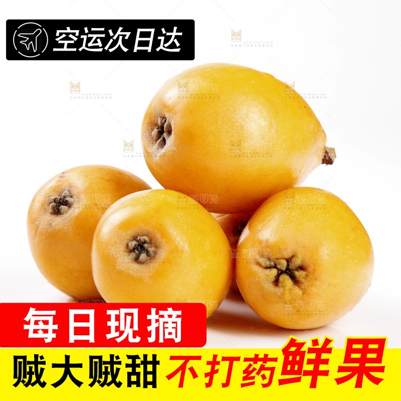 一堆新鲜大枇杷