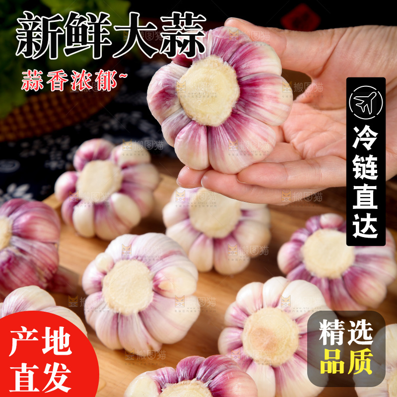手里拿着大蒜