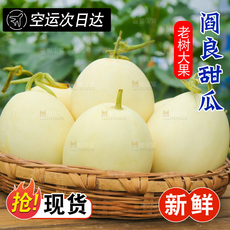 一篮头茬阎良甜瓜