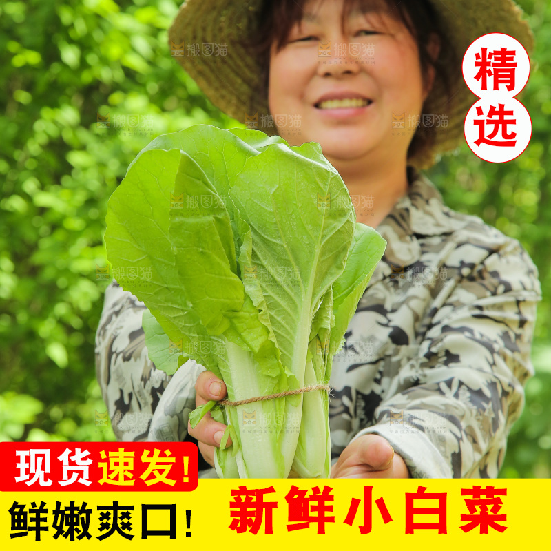 手里拿着青菜