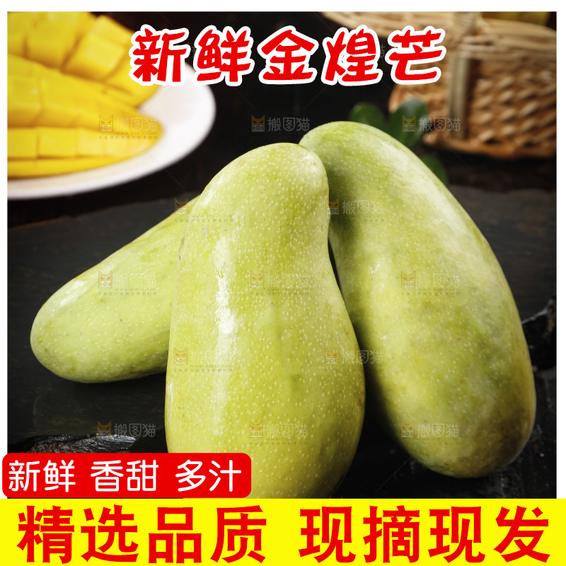 黑底上放着海南金煌芒