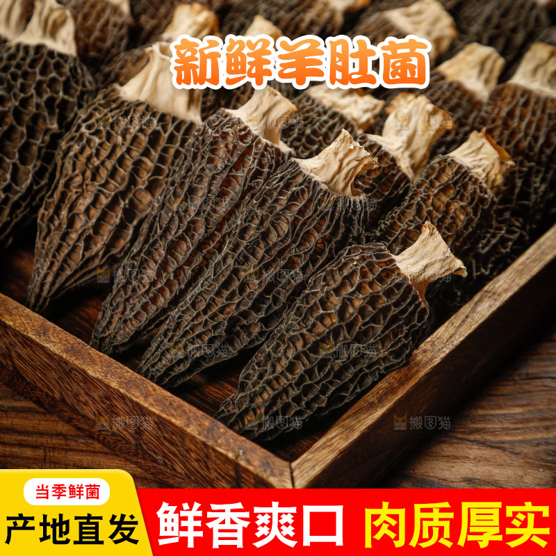 一盘山珍羊肚菌