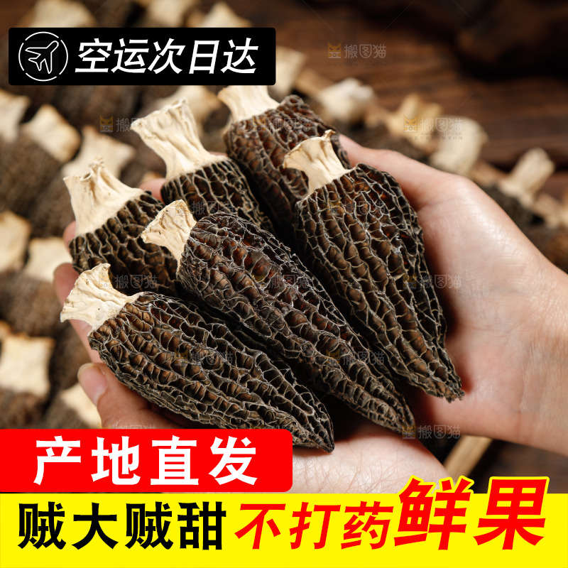 手里捧着羊肚菇