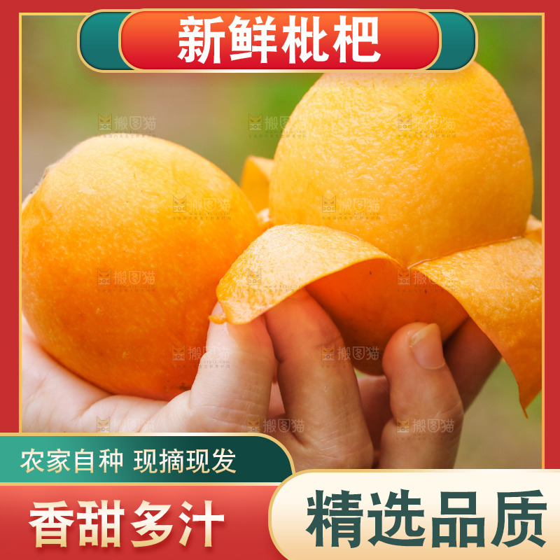 手里拿着大枇杷
