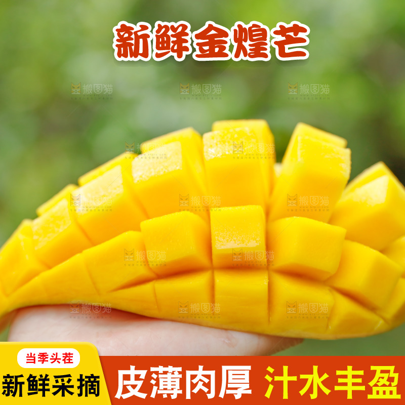 手里拿着芒果