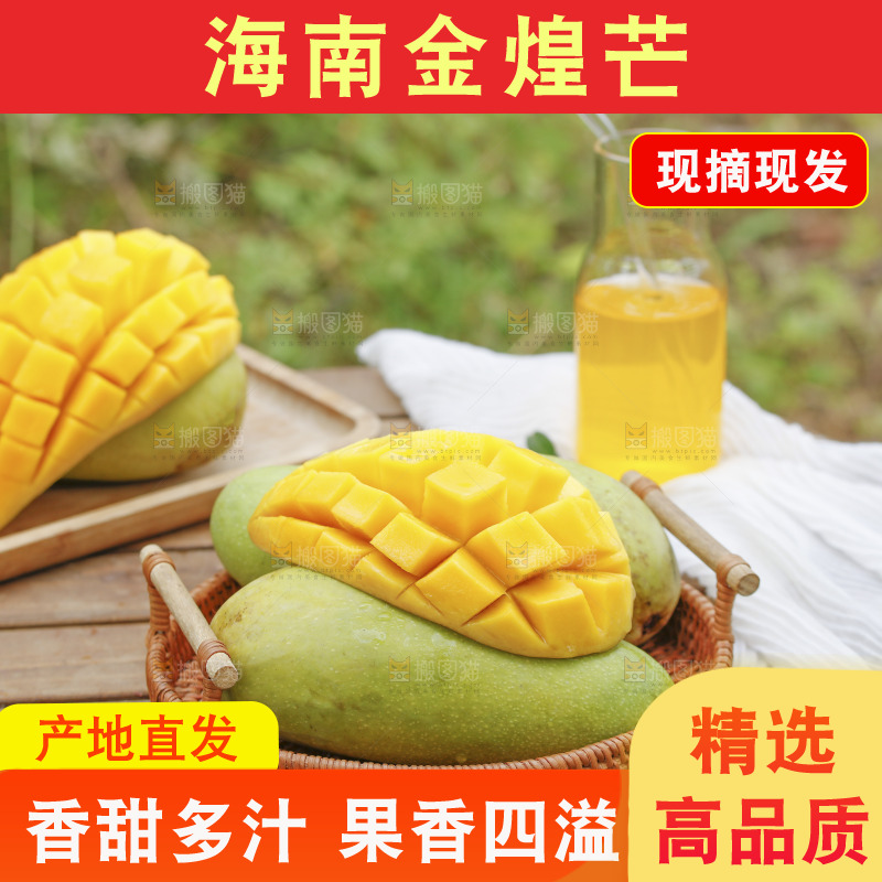 一篮新鲜金煌芒