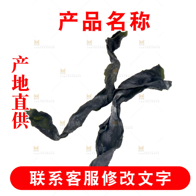 白底上摆放着裙带菜