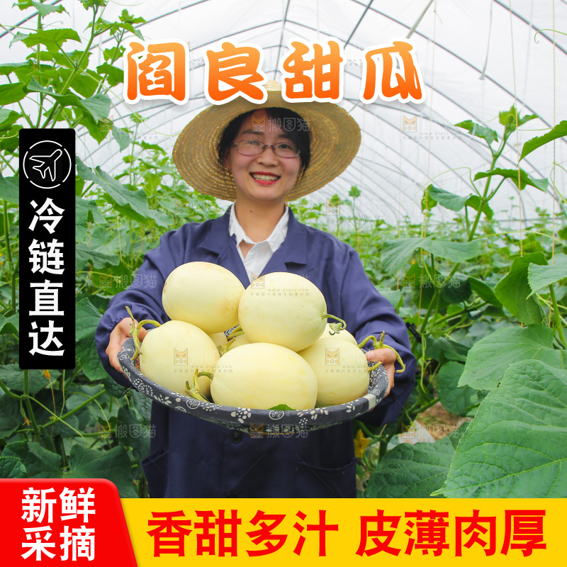 手里端着一篮阎良甜瓜