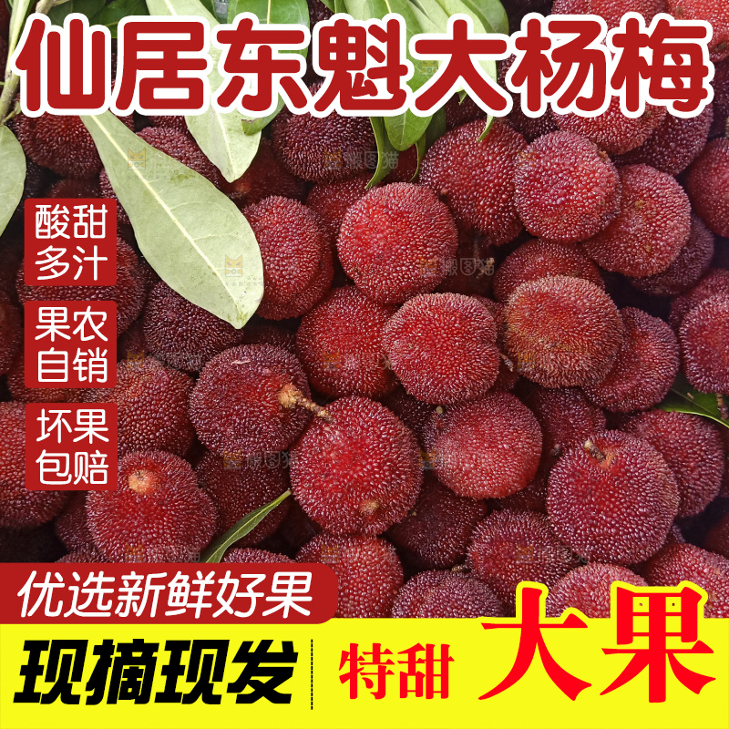 新鲜杨梅纹理
