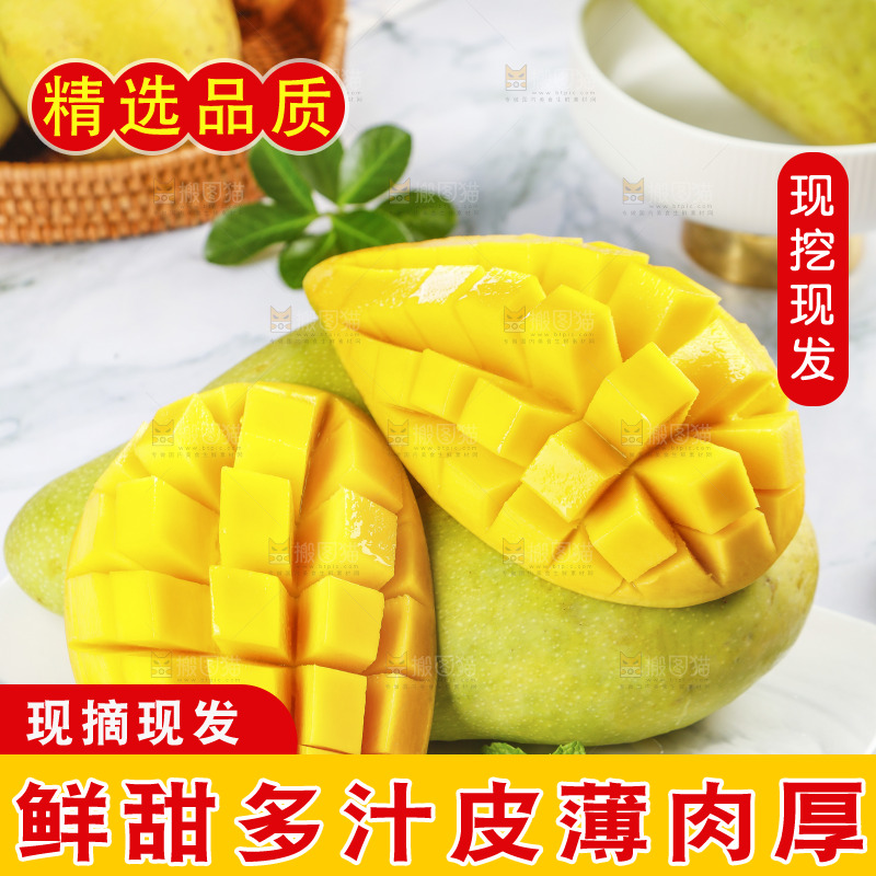 一堆金煌芒