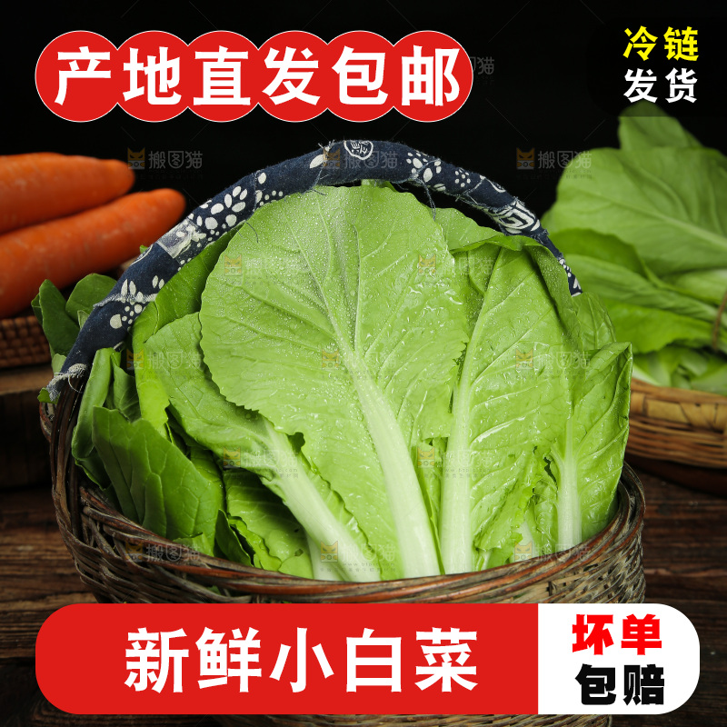木底上放着一篮奶油小白菜