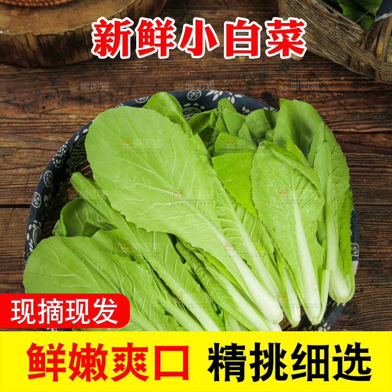 一篮小白菜