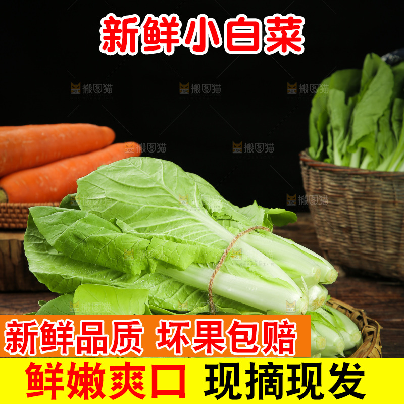 一篮小白菜