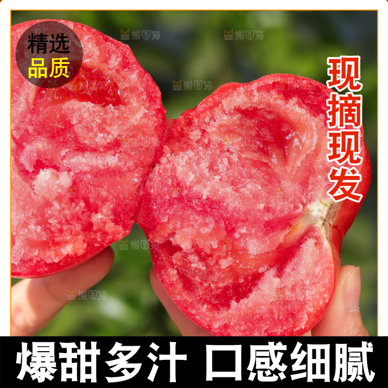 手里拿着沙瓤番茄