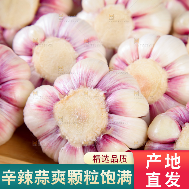 一堆紫皮大蒜