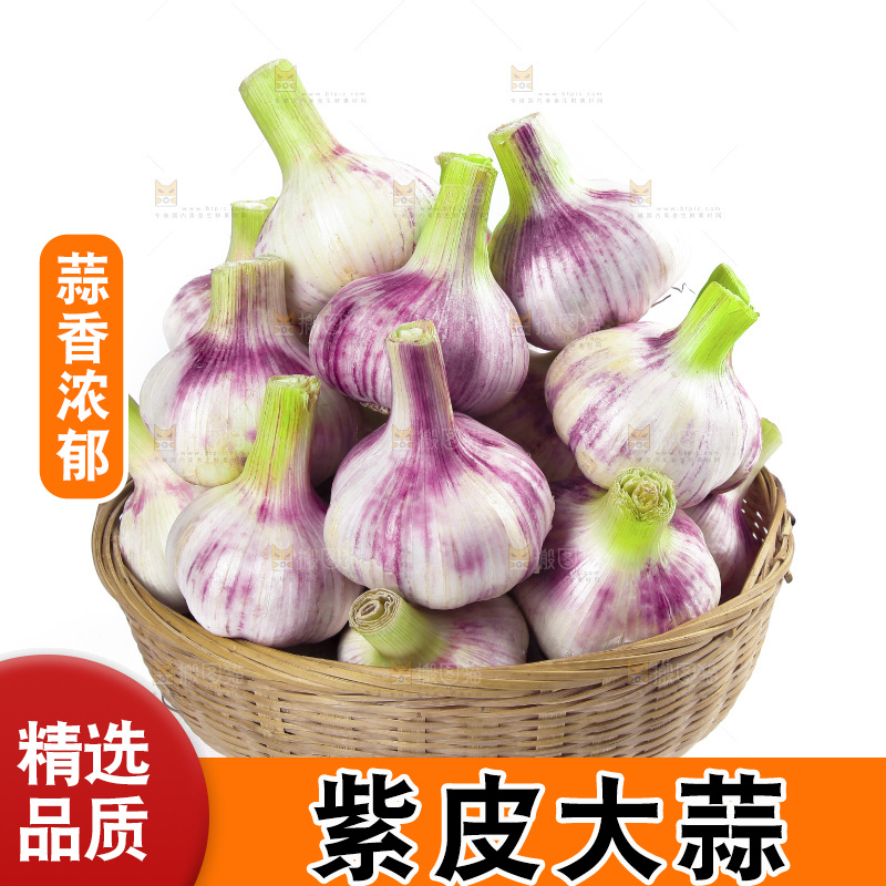 白底上放着一篮新鲜大蒜
