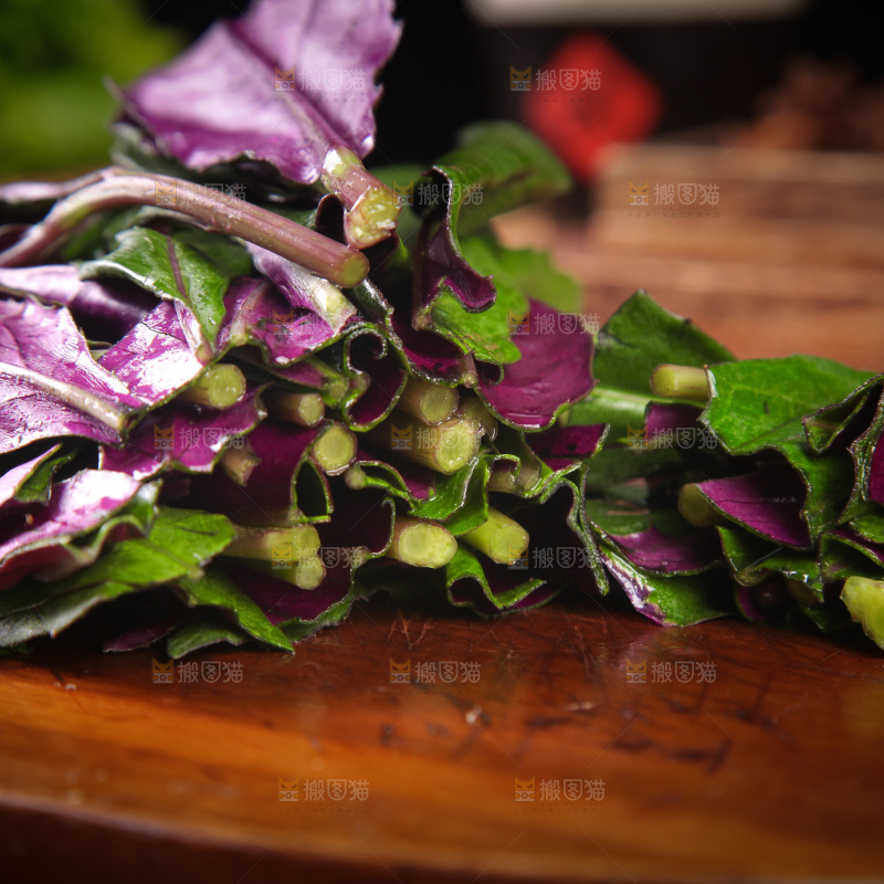 木底上放着紫背天葵