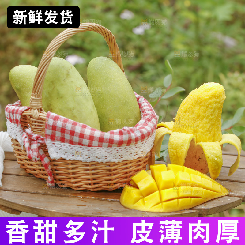 桌子上放着金煌芒