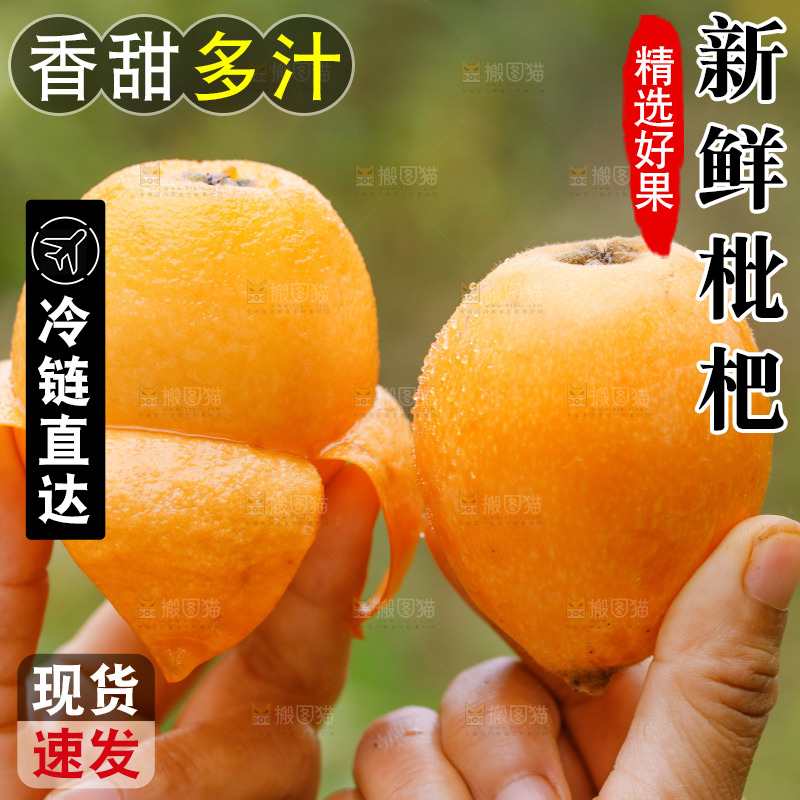 手里拿着大枇杷