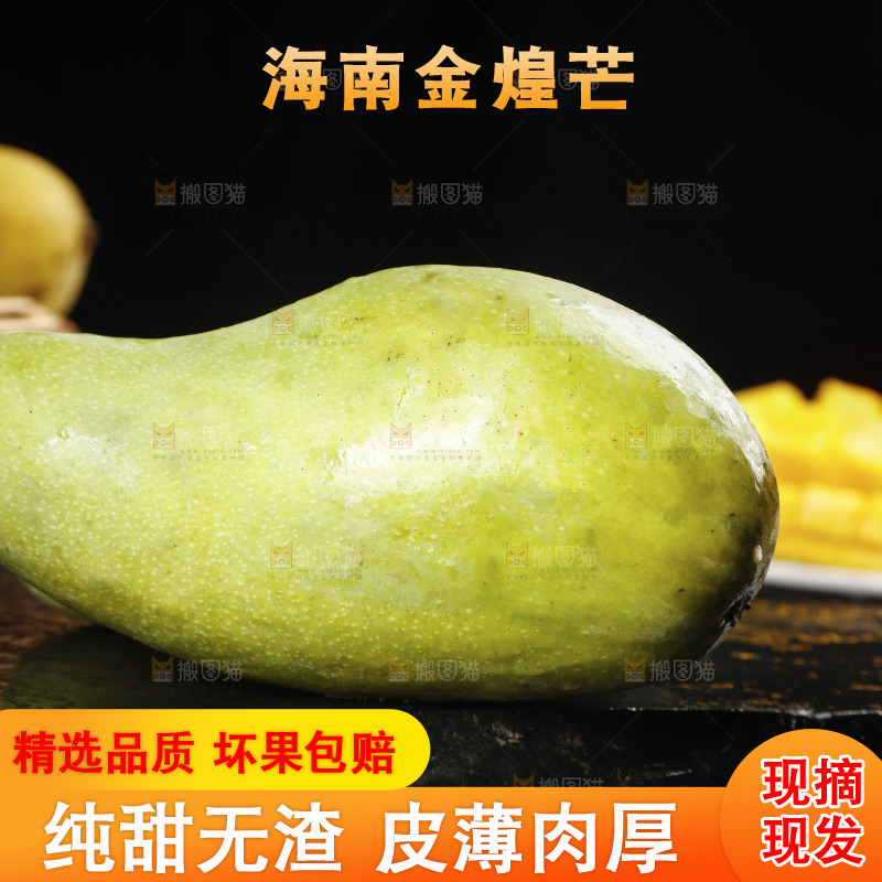 黑底上放着海南金煌芒