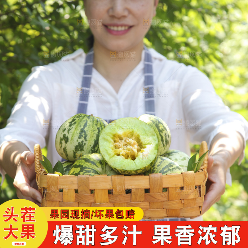 手里端着一篮花蕾甜瓜