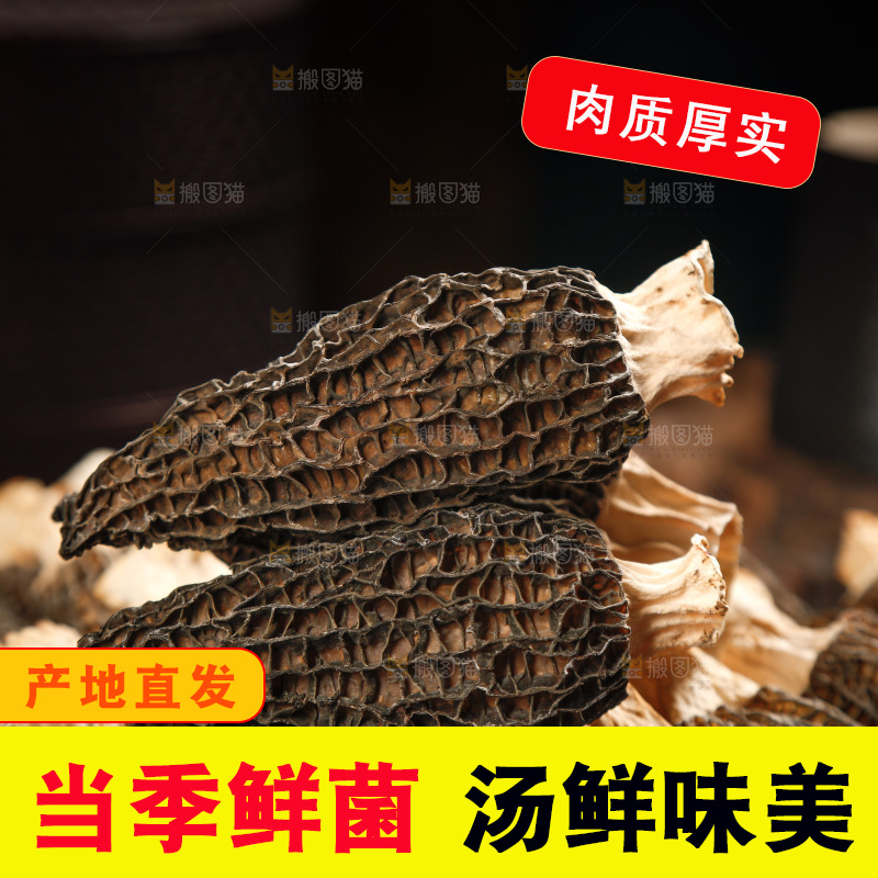 一堆干羊肚菌