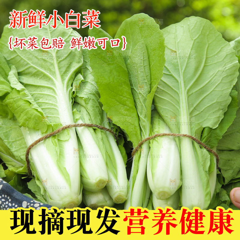 手里端着一篮小白菜