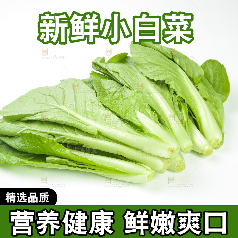 白底上放着小白菜