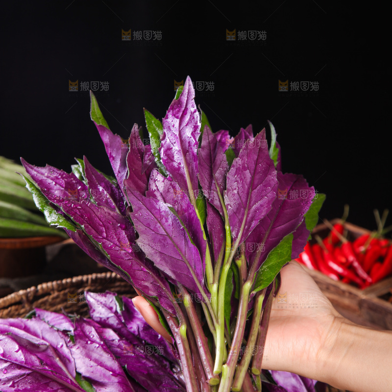 手里拿着红玉菜