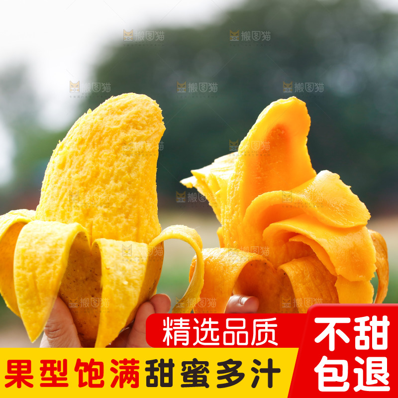 手里拿着水仙芒