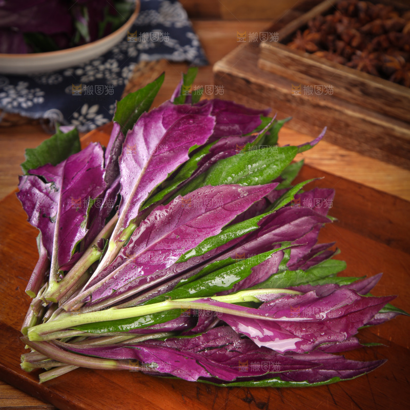 木底上放着紫背天葵